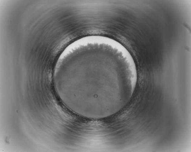 X0000102410063200808291517