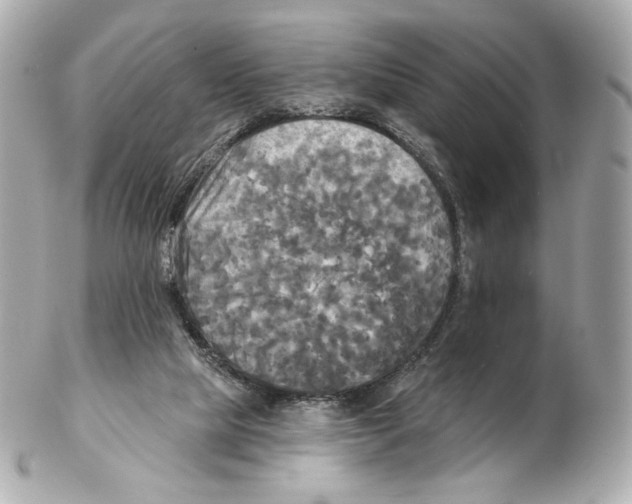 X0000102410065200808291517