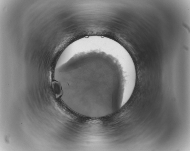 X0000102410067200808291517