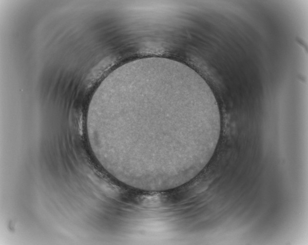 X0000102410068200808291517