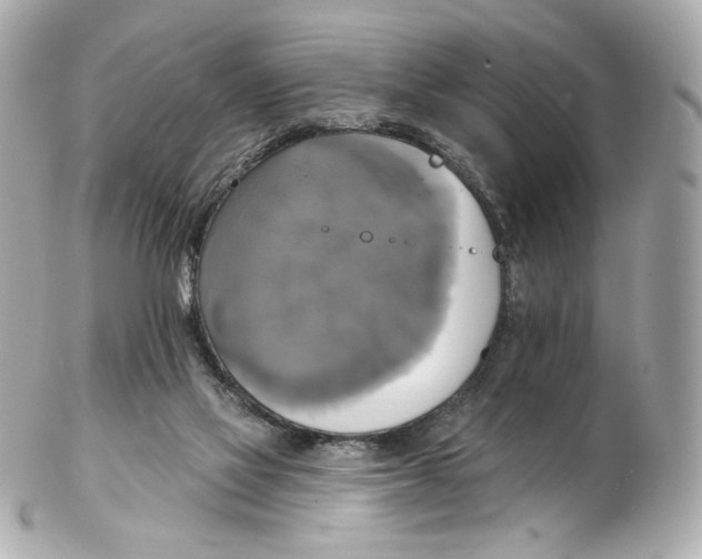 X0000102410069200808291517