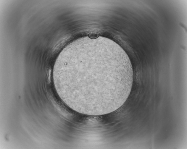 X0000102410070200808291517