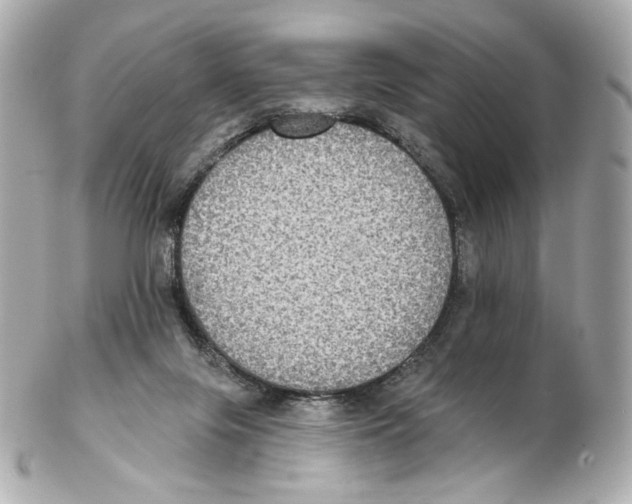 X0000102410071200808291517