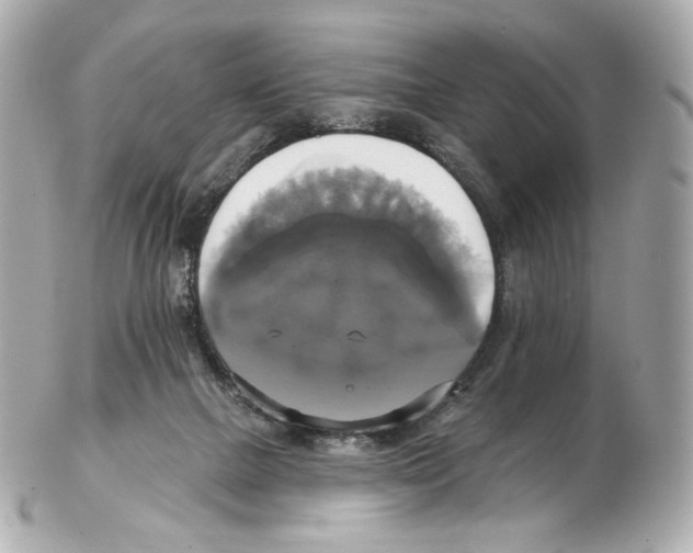 X0000102410073200808291517