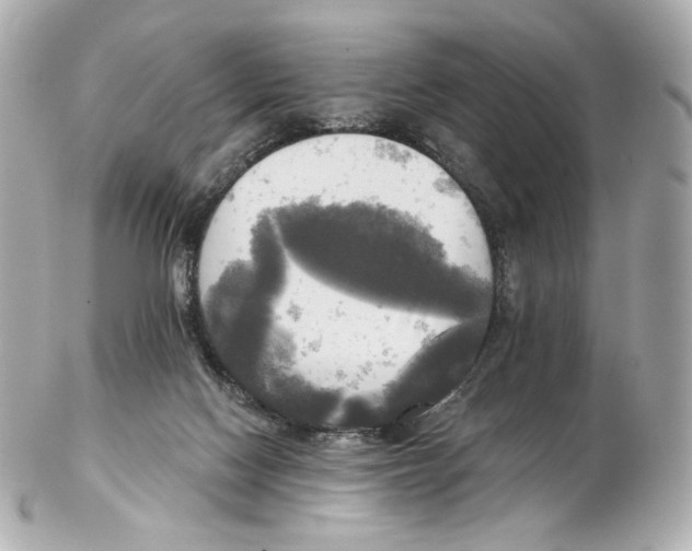 X0000102410074200808291517