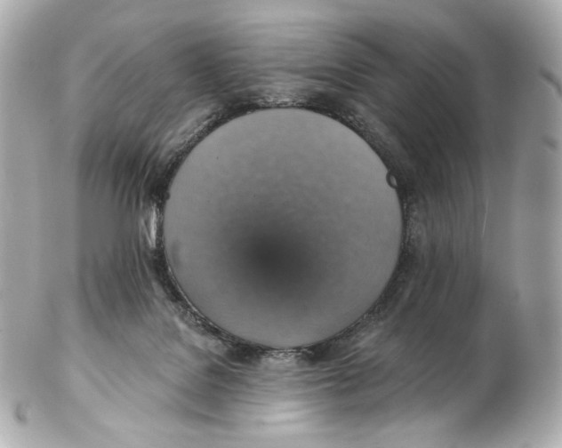 X0000102410076200808291517