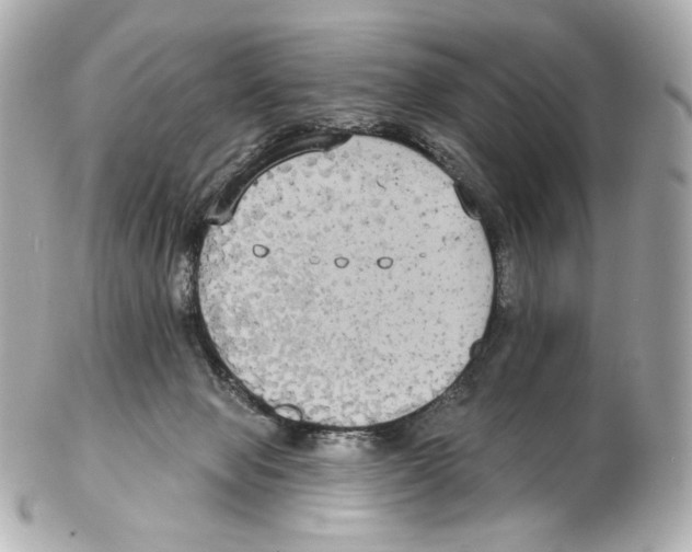 X0000102410077200808291517