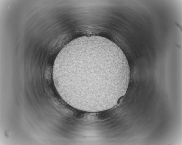 X0000102410078200808291517