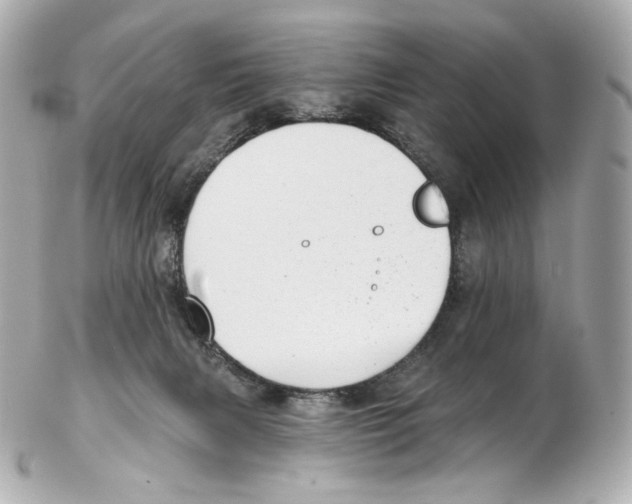 X0000102410079200808291517