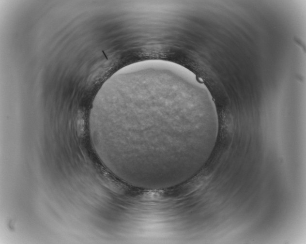 X0000102410080200808291517