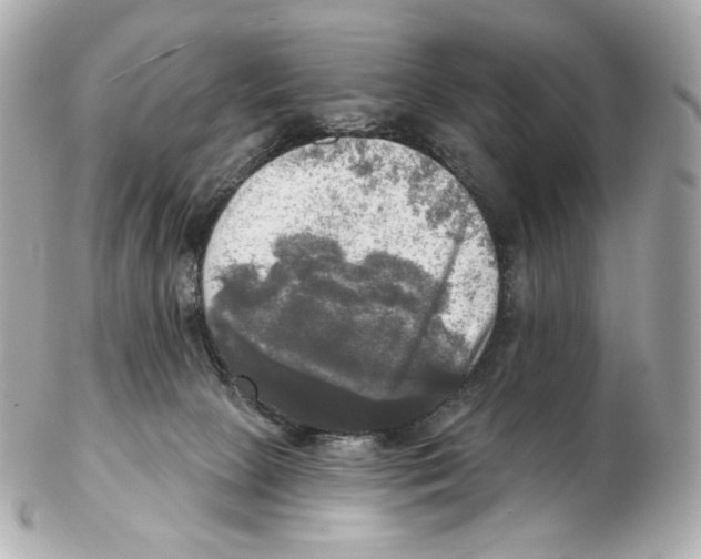 X0000102410081200808291517