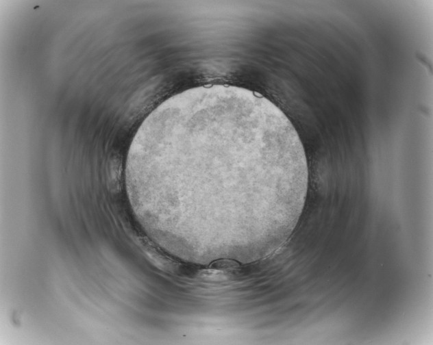 X0000102410082200808291517