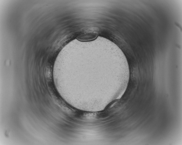 X0000102410084200808291517