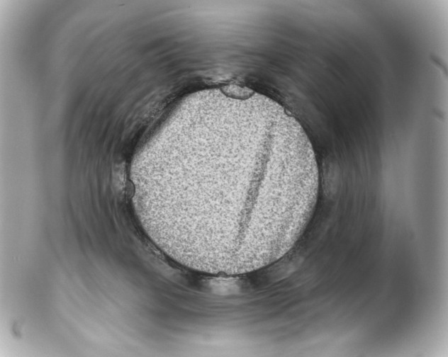 X0000102410085200808291517