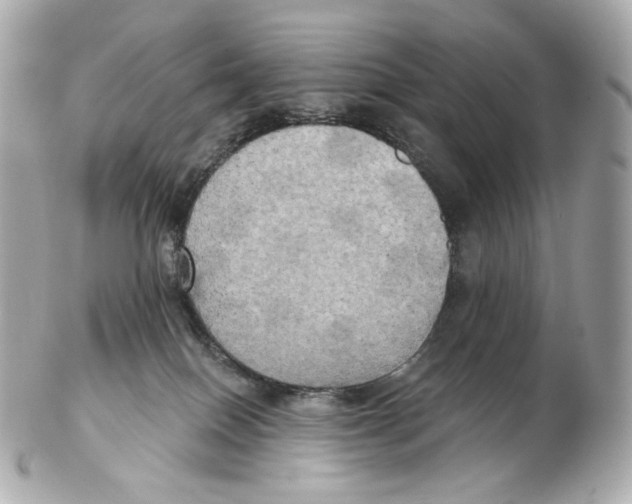 X0000102410086200808291517