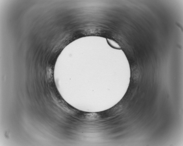 X0000102410087200808291517