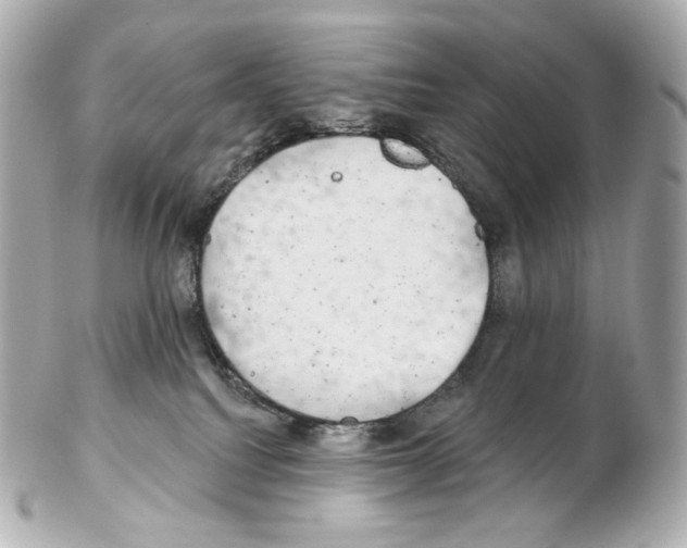 X0000102410088200808291517