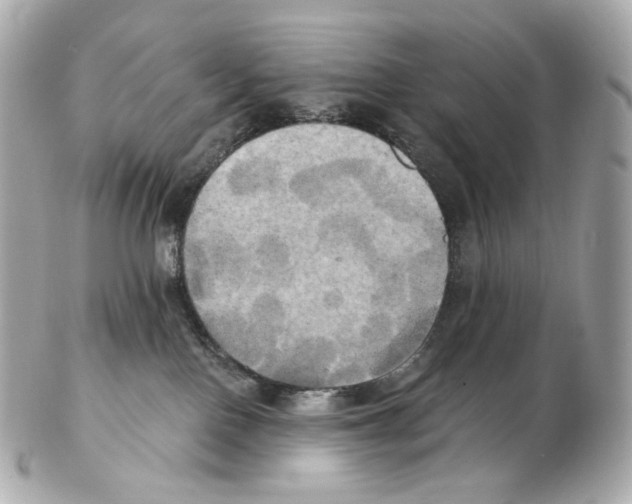 X0000102410090200808291517