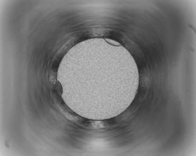 X0000102410091200808291517