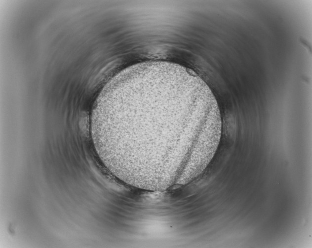 X0000102410092200808291517