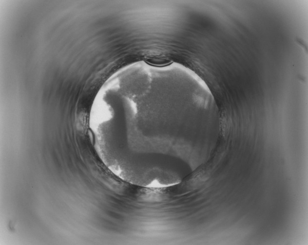 X0000102410093200808291517