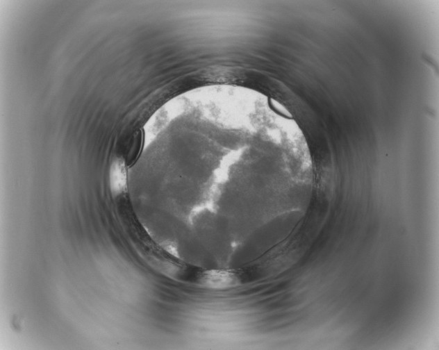 X0000102410095200808291517