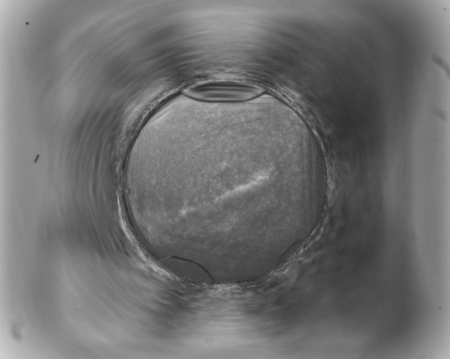 X0000102410097200808291517