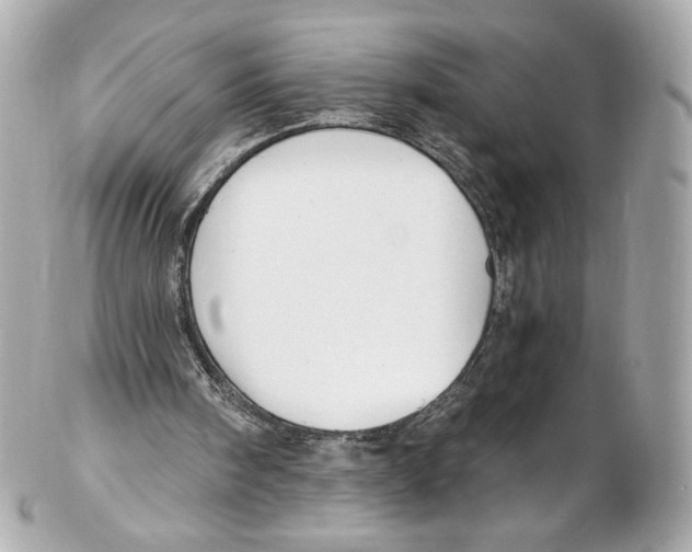 X0000102410098200808291517