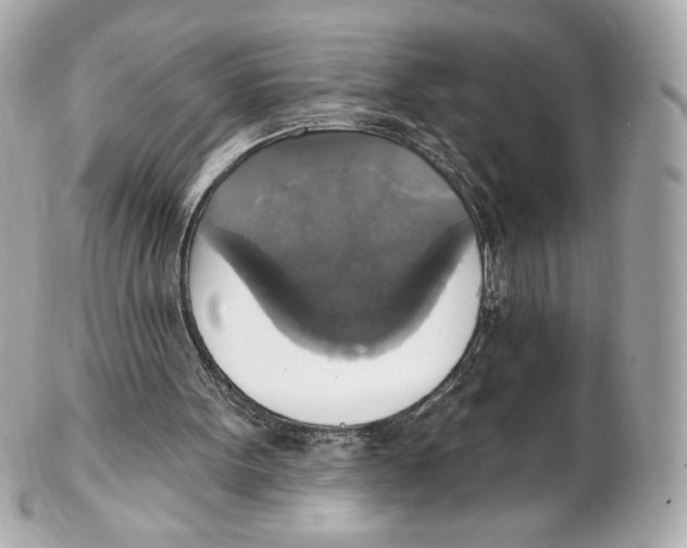 X0000102410099200808291517