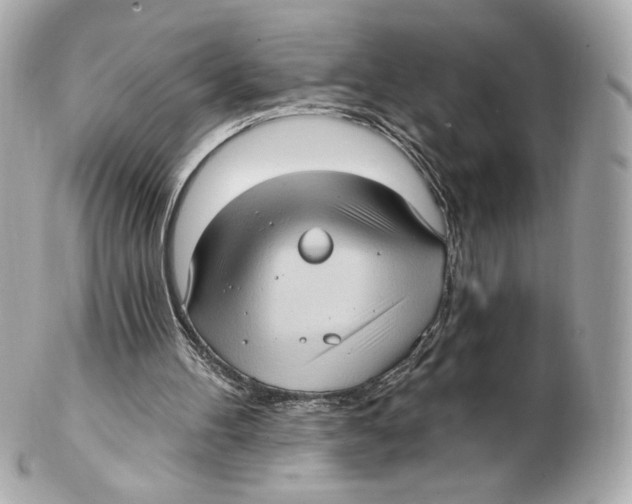 X0000102410100200808291517