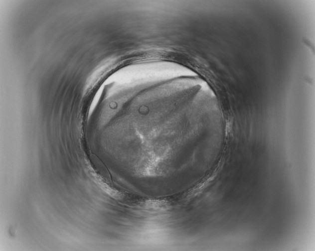 X0000102410101200808291516