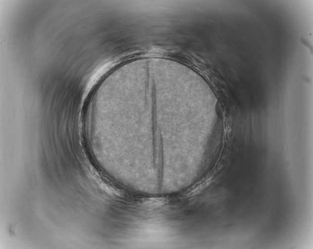 X0000102410102200808291516