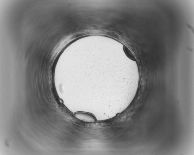 X0000102410103200808291516