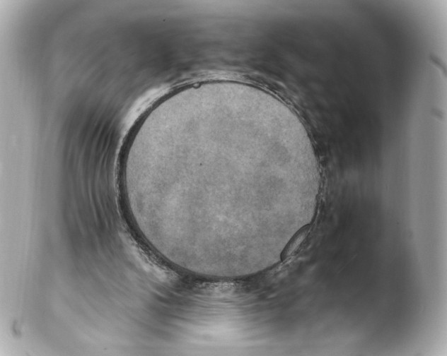 X0000102410104200808291516