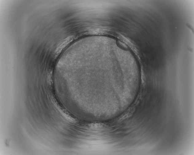 X0000102410105200808291516