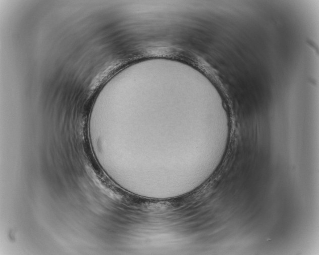 X0000102410106200808291516