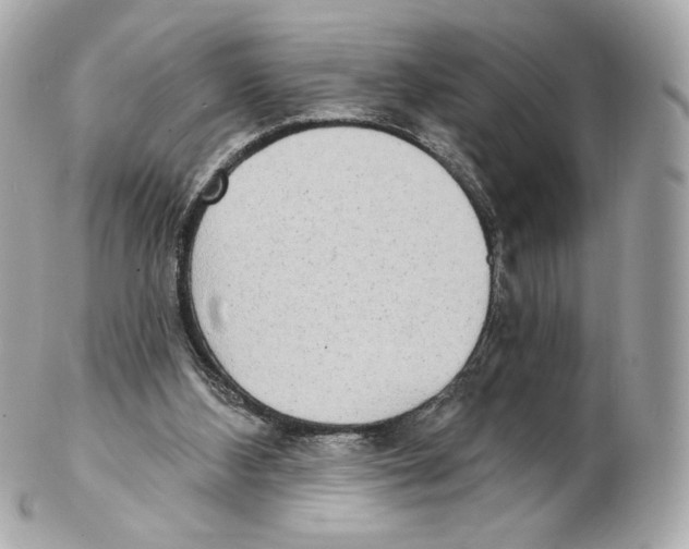 X0000102410108200808291516