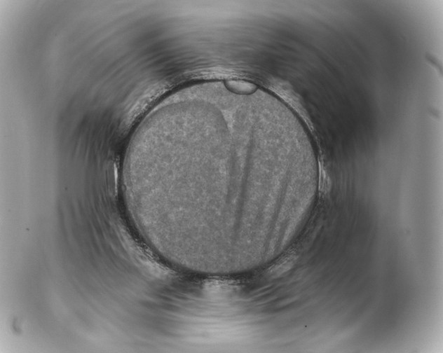 X0000102410109200808291516