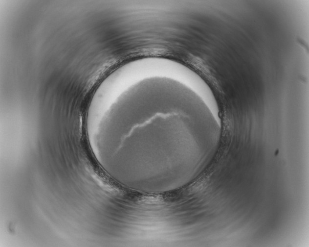 X0000102410110200808291516