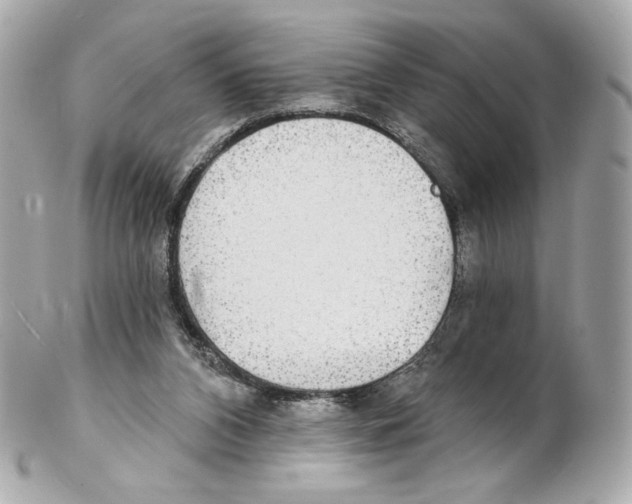 X0000102410112200808291516