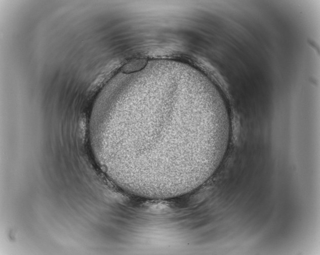 X0000102410113200808291516