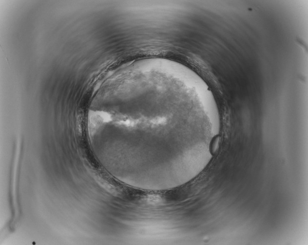 X0000102410114200808291516