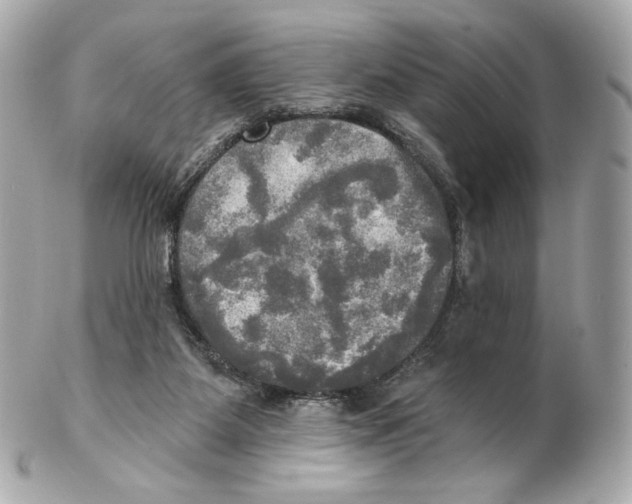 X0000102410115200808291516