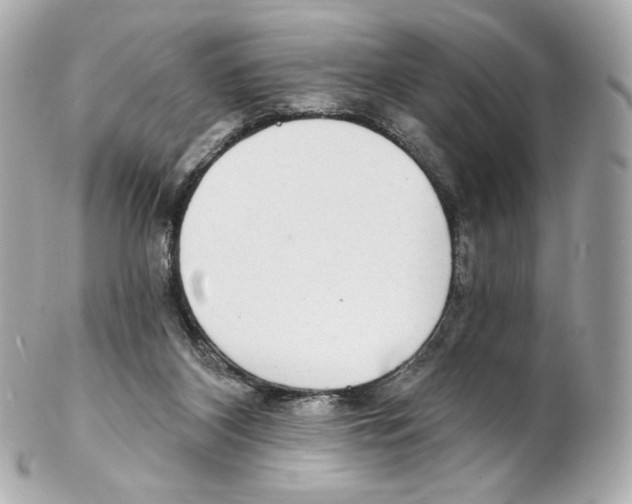 X0000102410116200808291516