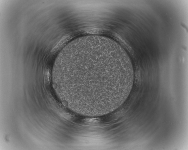 X0000102410117200808291516