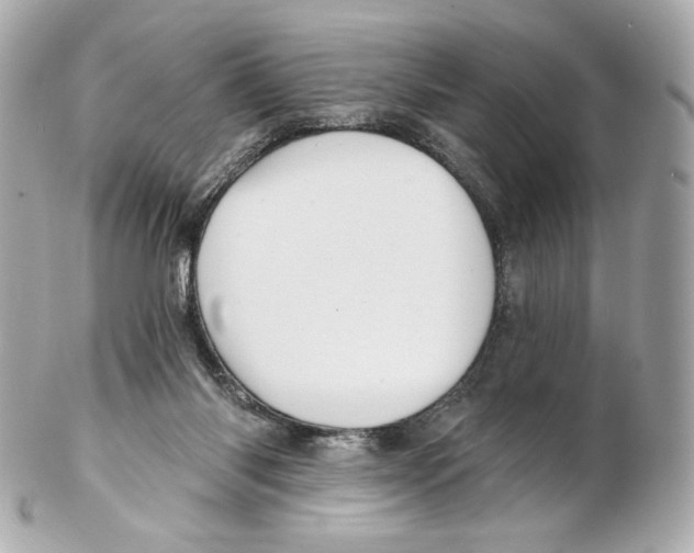 X0000102410118200808291516