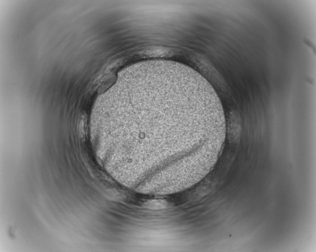 X0000102410119200808291516