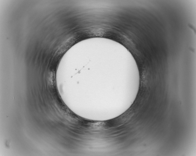 X0000102410122200808291516