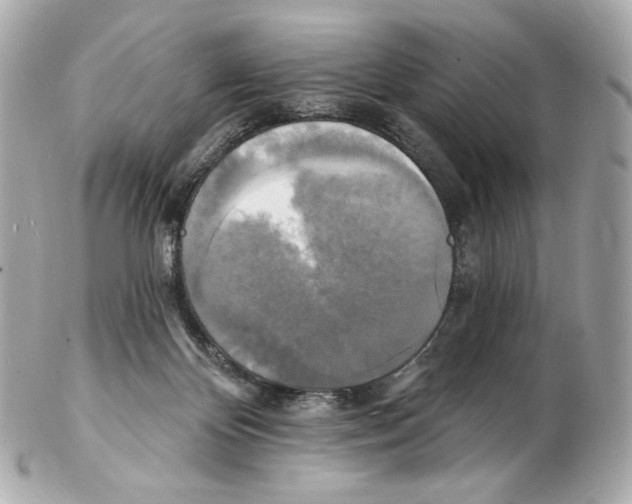 X0000102410124200808291516