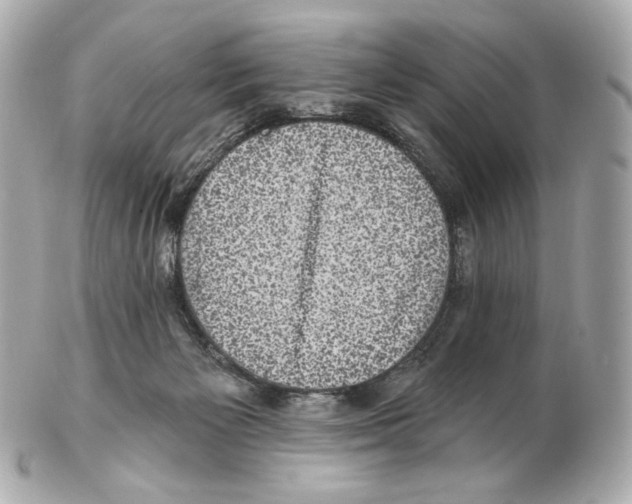 X0000102410125200808291516